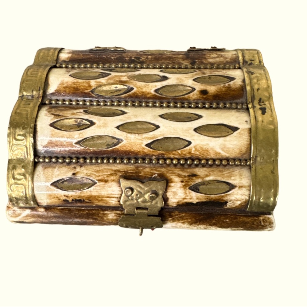 Camel Bone jewelry trinket box